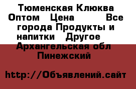 Тюменская Клюква Оптом › Цена ­ 200 - Все города Продукты и напитки » Другое   . Архангельская обл.,Пинежский 